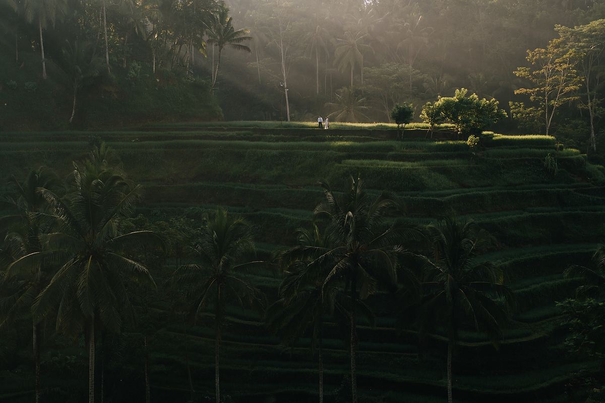 prewedding-engagement-diktatphotograpgy-preweddinginbali-tegalalang-ubud-tegenungun-airterjun-jimbaran-15