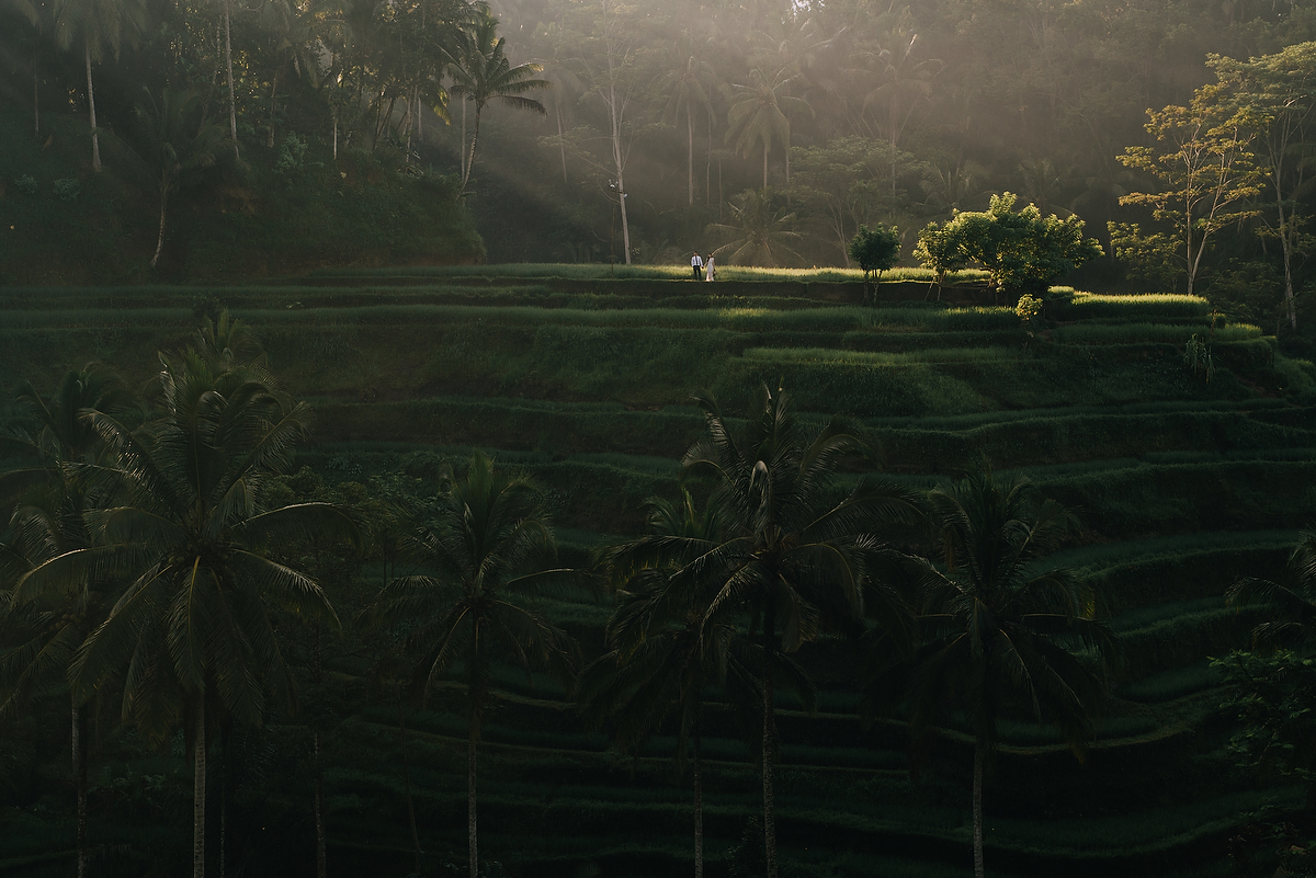 prewedding-engagement-diktatphotograpgy-preweddinginbali-tegalalang-ubud-tegenungun-airterjun-jimbaran-15