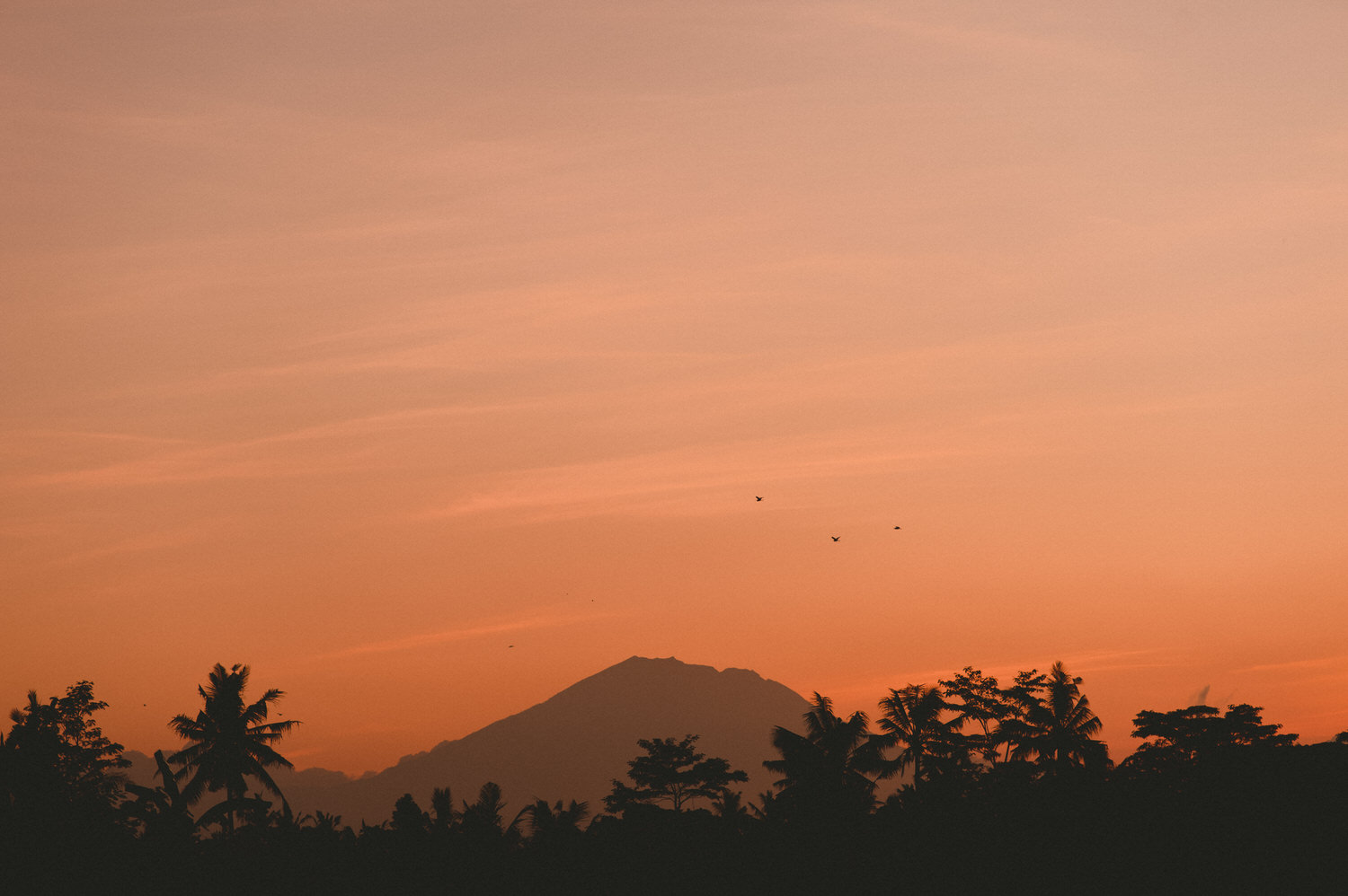 bali-wedding-destination-wedding-in-bali-bali-photographer-pantai-purnama-ubud-wedding-profesional-bali-wedding-photographer-diktatphotography-vania-pedro-1