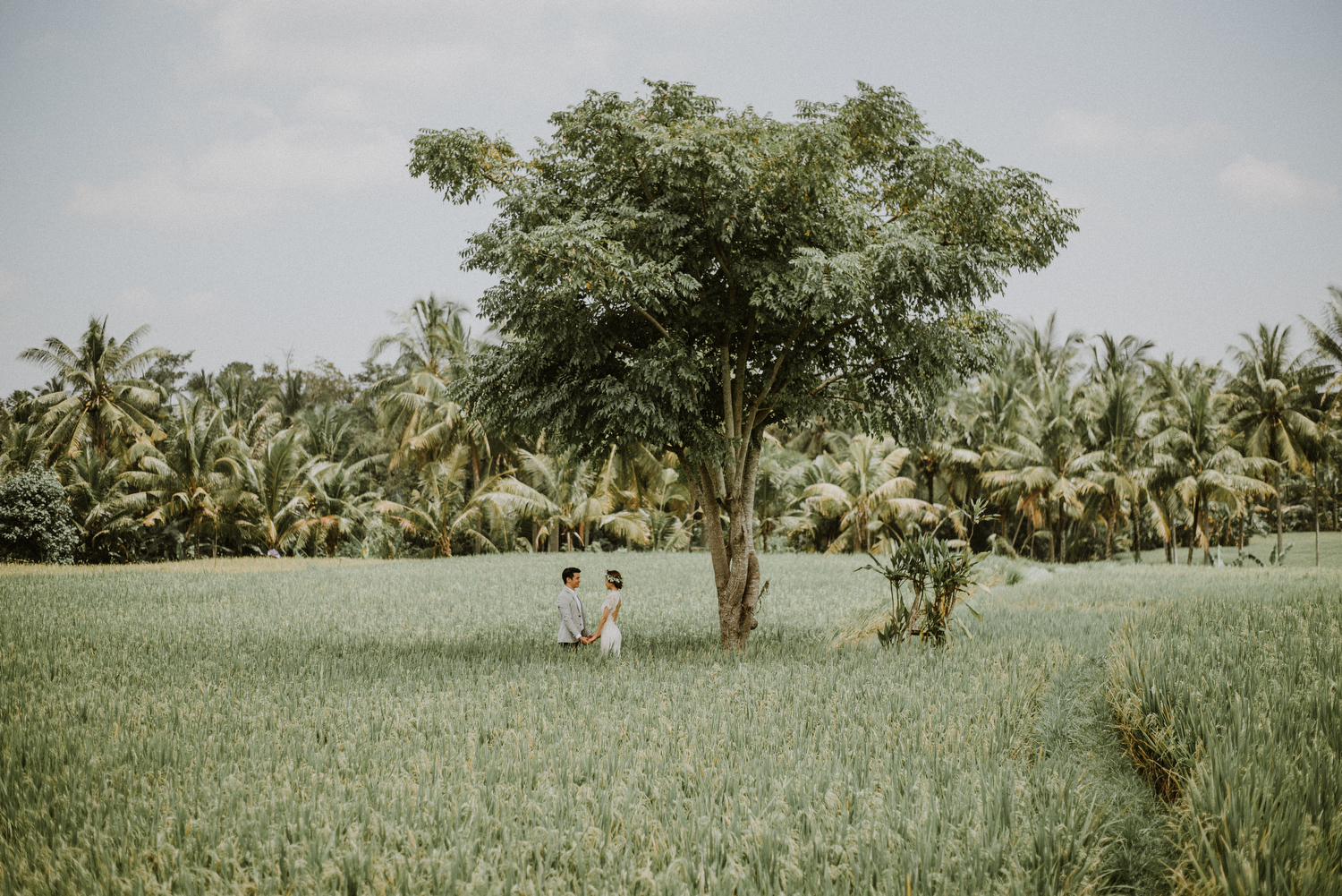 preweddinginbali-bali-batur-ubud-diktatphotography-engagemnet-baliweddingphotographer-weddinginbali-26