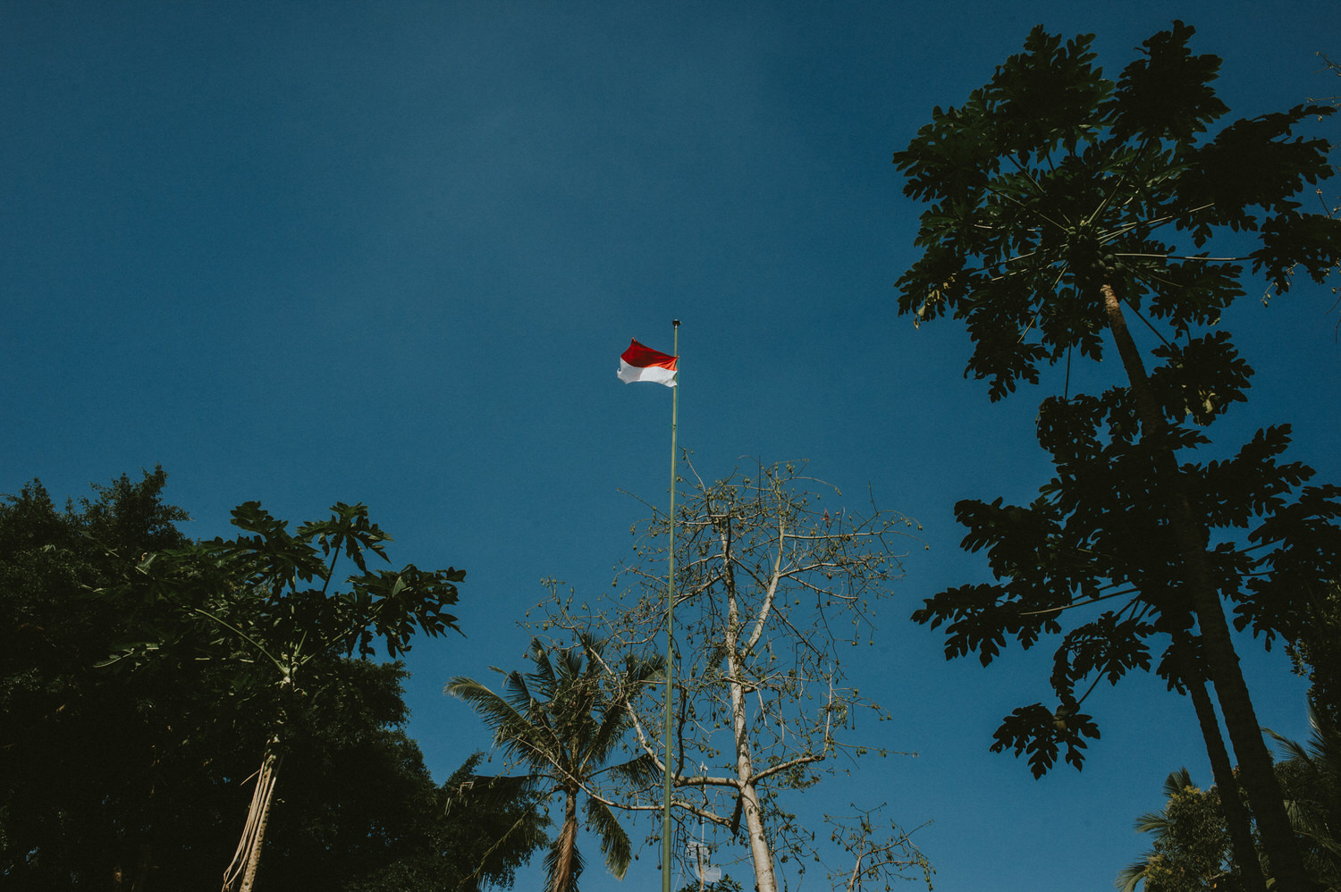 bali-wedding-ubud-wedding-wedding-destination-diktatphotography-kadek-artayasa-elaine-and-glenn-002