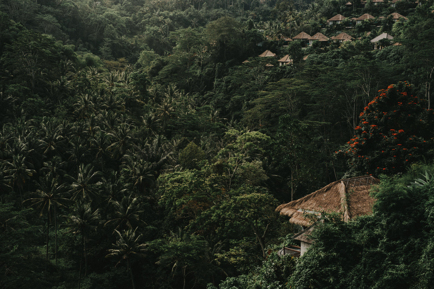 bali wedding - elopement - ubud wedding - diktatphotography - olga + Jason - 26