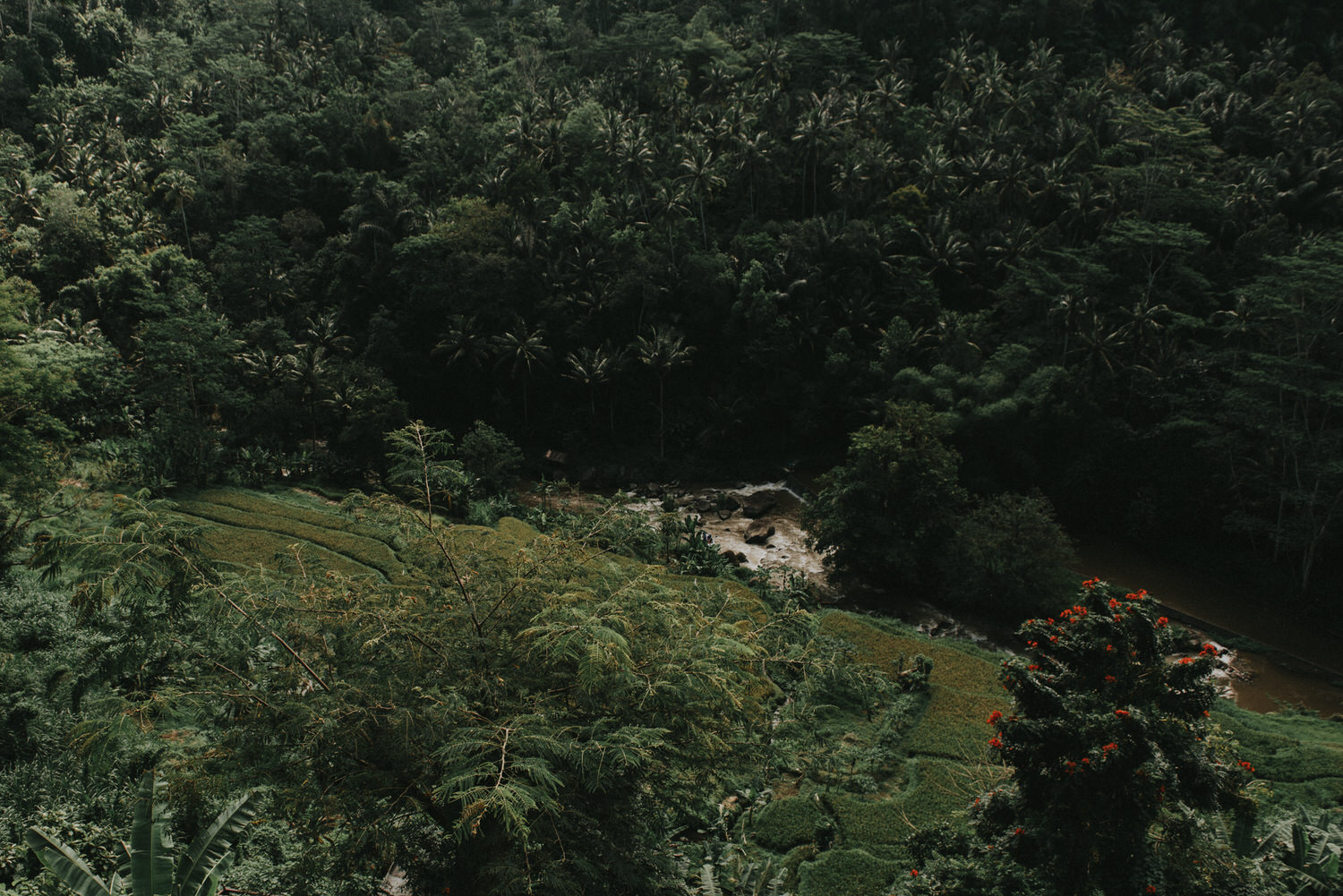 bali wedding - elopement - ubud wedding - diktatphotography - olga + Jason - 43