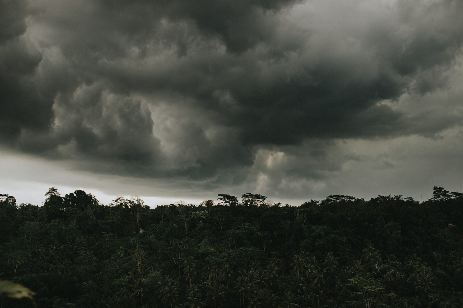 bali wedding - elopement - ubud wedding - diktatphotography - olga + Jason - 60