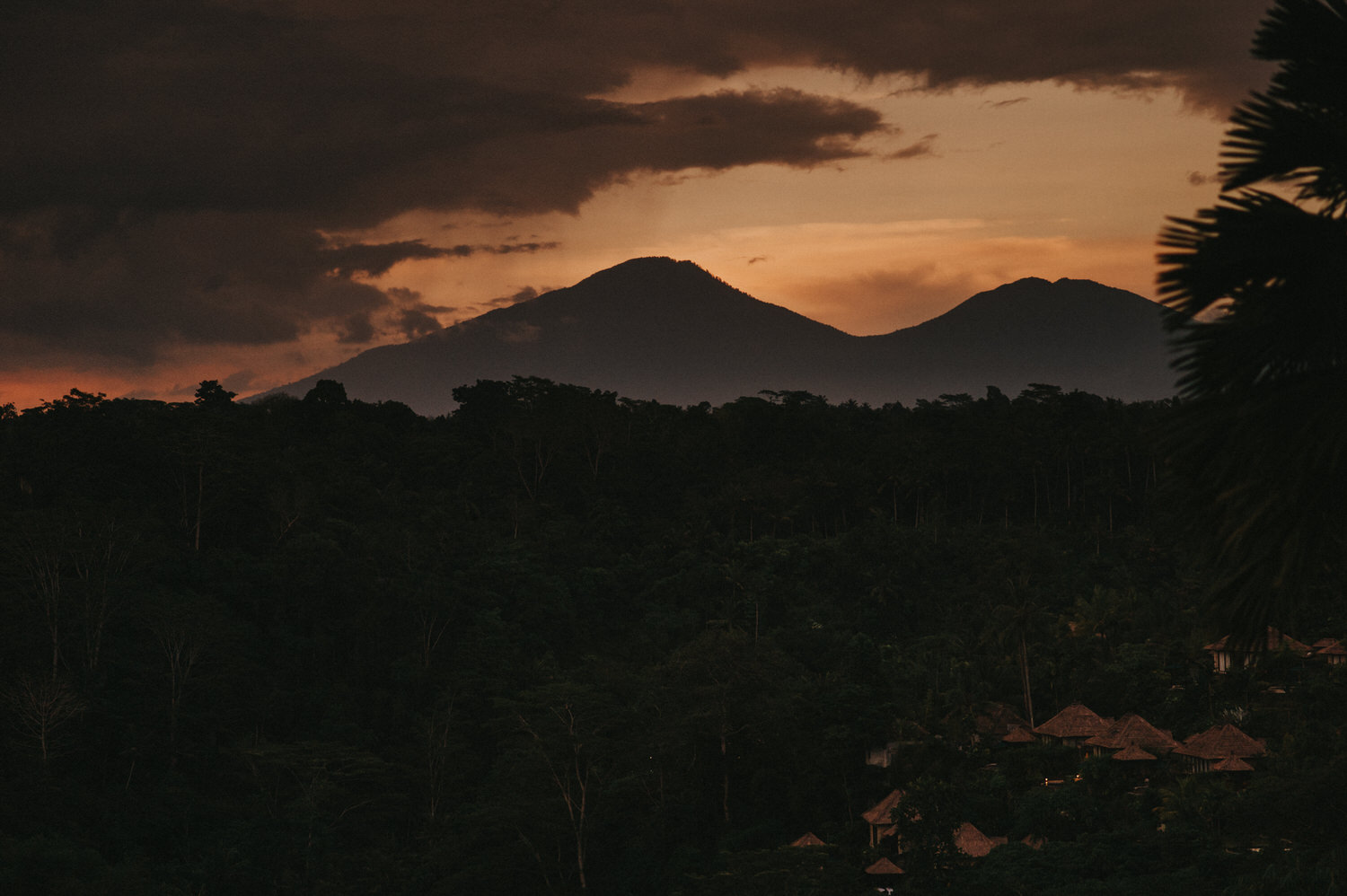 bali wedding - elopement - ubud wedding - diktatphotography - olga + Jason - 76